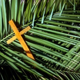 palm-sunday-images-2015-3