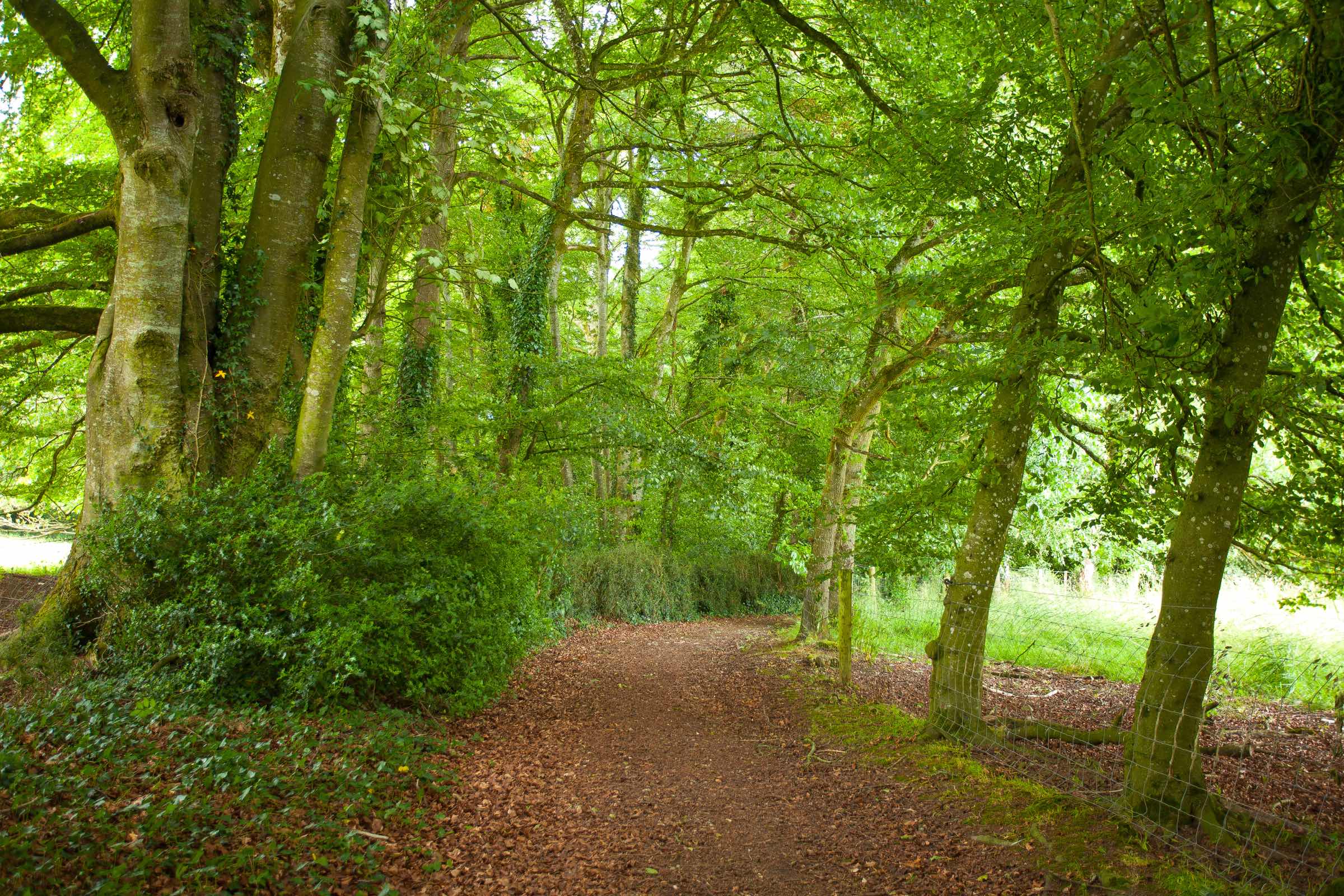 Mount St. Anne's Retreat & Conference Centre » Gallery