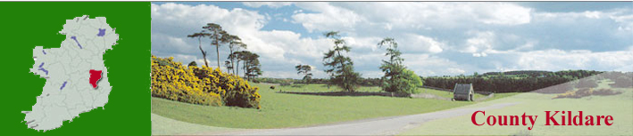 Kildare_Banner_W25