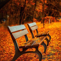Autumn Sabbatical Programme