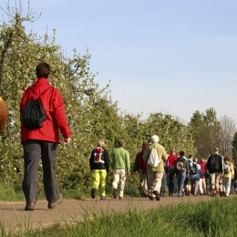 Annual Walking Pilgrimage